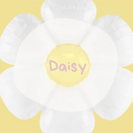 Daisy